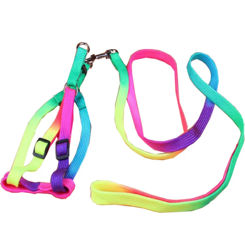 Buntes Hundegeschirr mit Leine – Verstellbares Set für Hunde in Regenbogenfarben