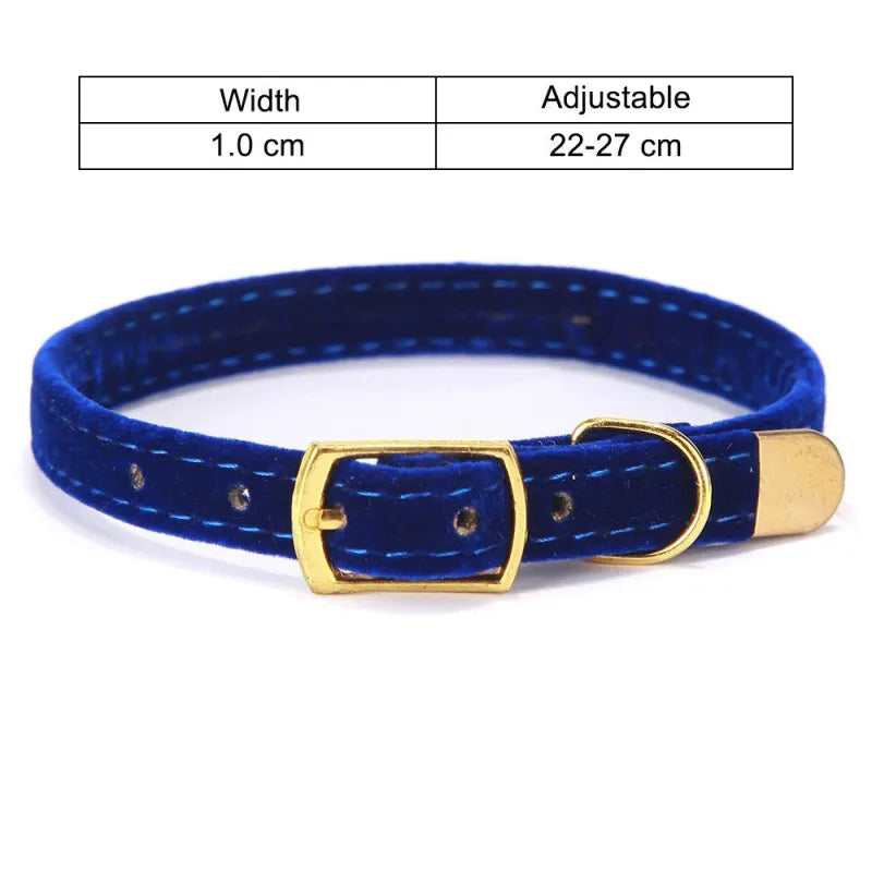 Velours Katzenhalsband mit Goldener Schnalle – Weich Verstellbar und Elegant