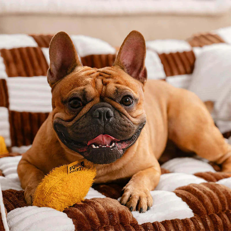 Luxuriöse Hundebettbank