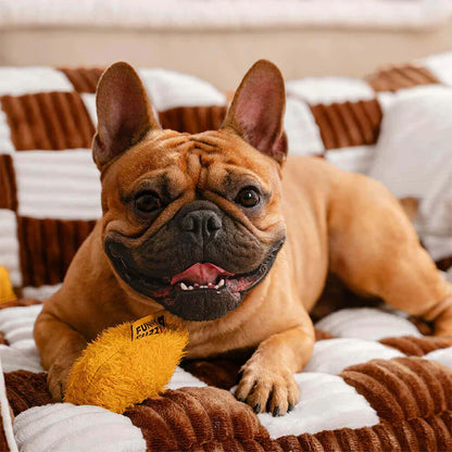 Luxuriöse Hundebettbank