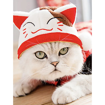 Katzen Haarkur-Set mit Lockenwicklern – Weiches Material und Einfach zu Tragen