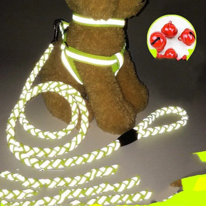 Reflektierendes Hundegeschirr mit Leine – Sicheres Set für Spaziergänge Bei Dunkelheit