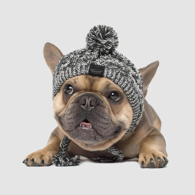 Stylische Hundemütze mit Bommel – Warme Wintermütze für Kleine Hunde