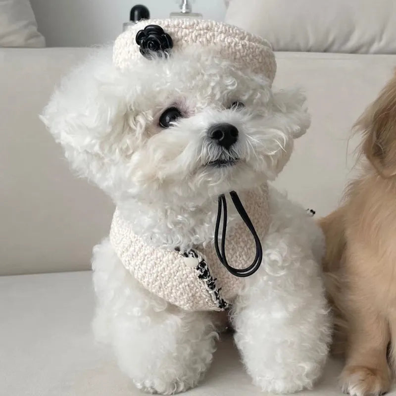 Elegantes Hundehalsband mit Schickem Hütchen und Blumenapplikation – Modisches Design für Deinen Vierbeiner