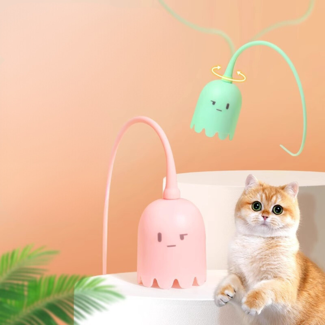 Schwanzspielzeug Für Katzen