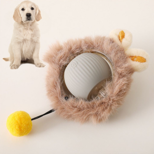 Aktivierter Fellball für Hunde