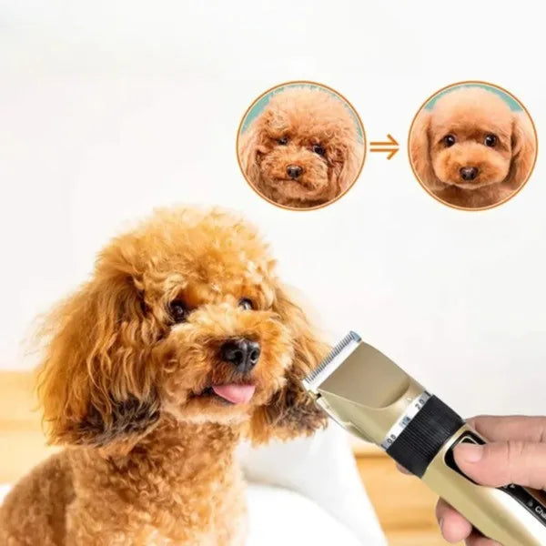 Fellpflege Set für Hunde Ohne Geräusche
