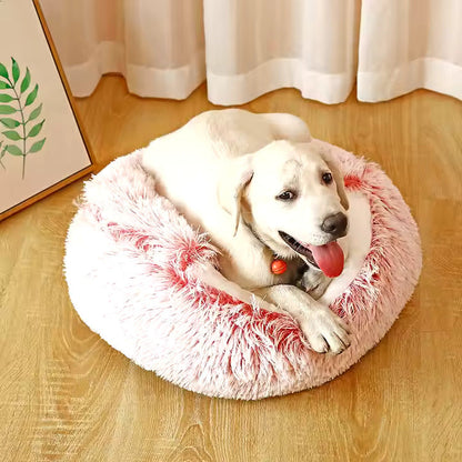 2in1 Hunde Schlafhöhle & Kuschelbett