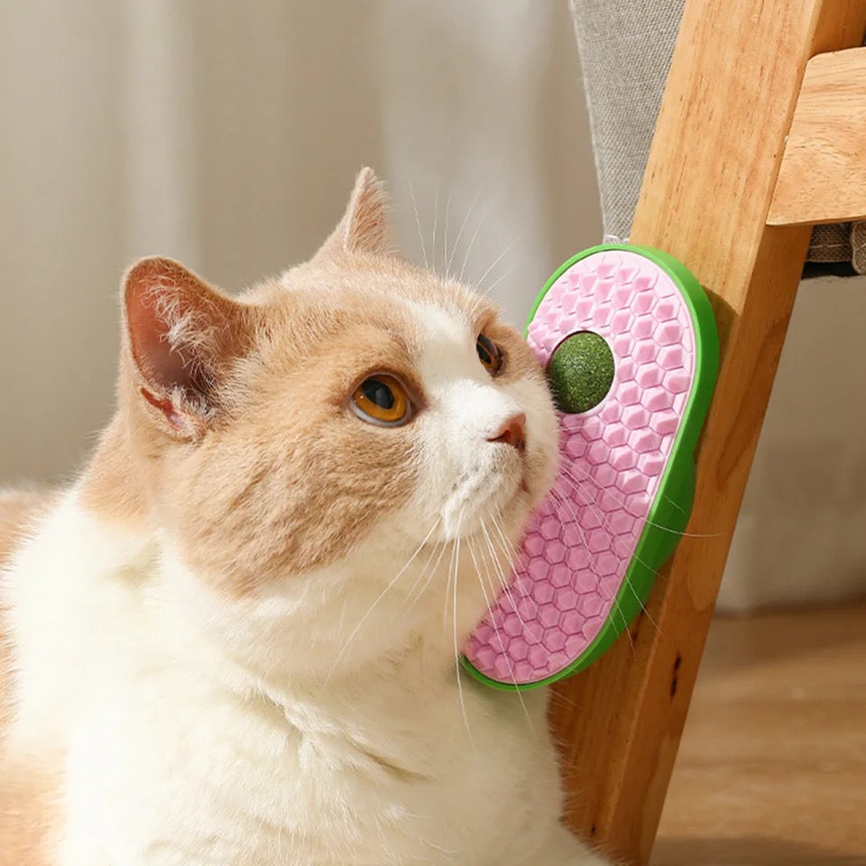 Katzenbürste Mit Katzenminze-effekt