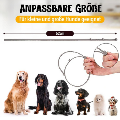 Floh- und Zeckenschutz-Halsband