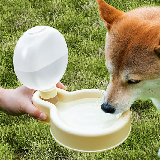 Faltbarer Trinknapf für Hunde