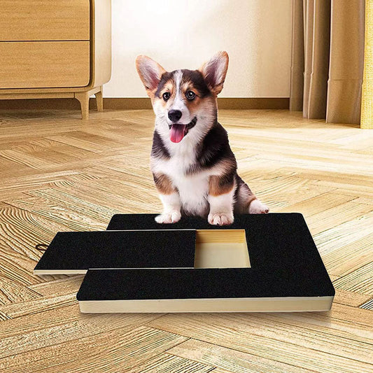 Krallen Kürzen Spielplatte für Hunde mit Leckerli