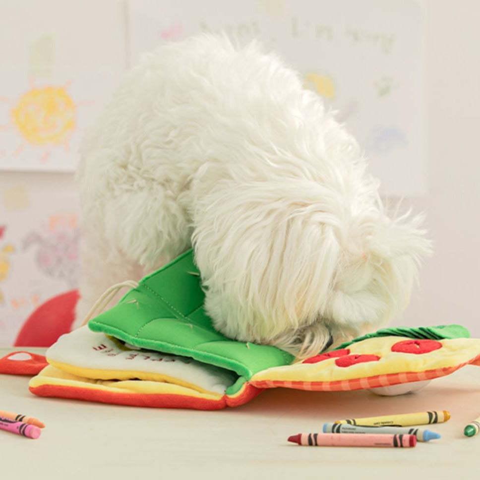 Spürnasenbuch - Interaktive Beschäftigung für Hunde