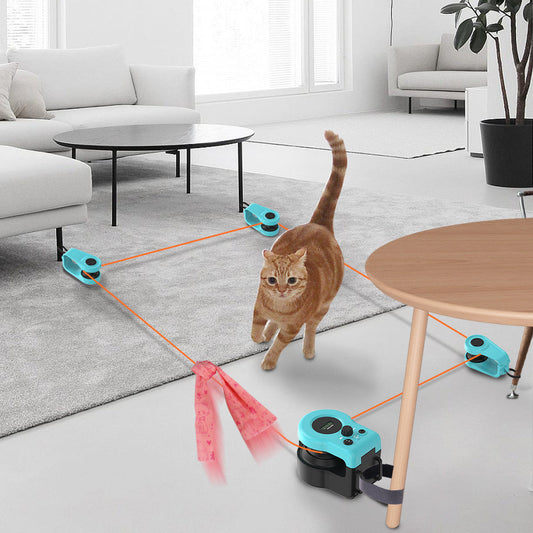 Interaktives Katzenspielzeug mit Schnur
