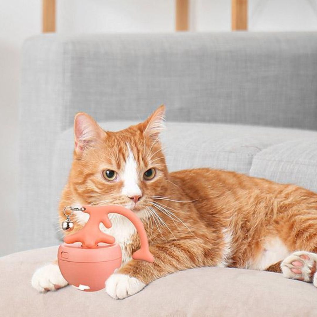 Automatischer Katzen-Interaktionsball