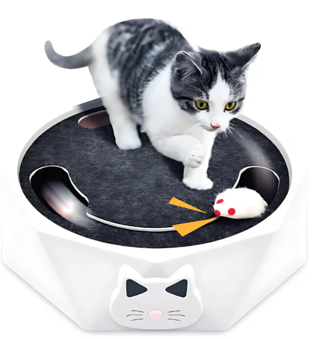 Bewegliche Maus Im Interaktiven Katzenspielzeug