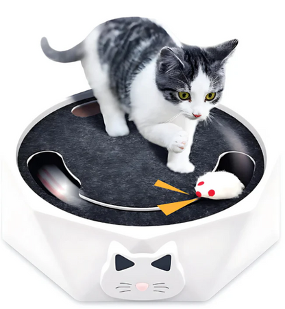 Bewegliche Maus Im Interaktiven Katzenspielzeug