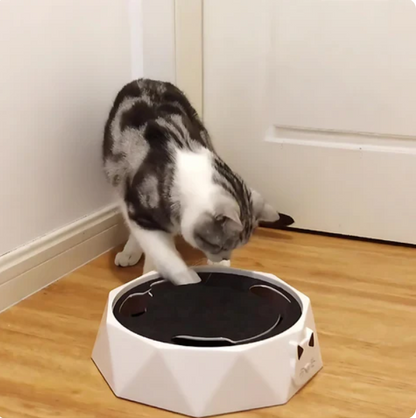 Bewegliche Maus Im Interaktiven Katzenspielzeug