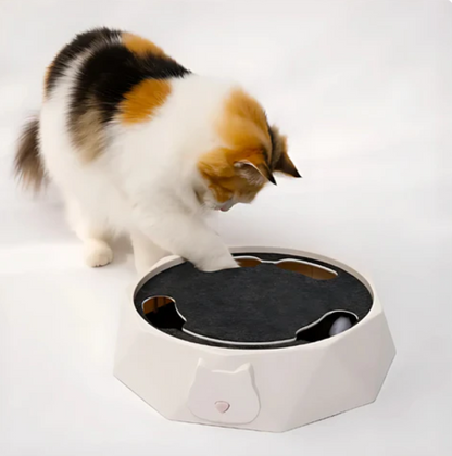 Bewegliche Maus Im Interaktiven Katzenspielzeug