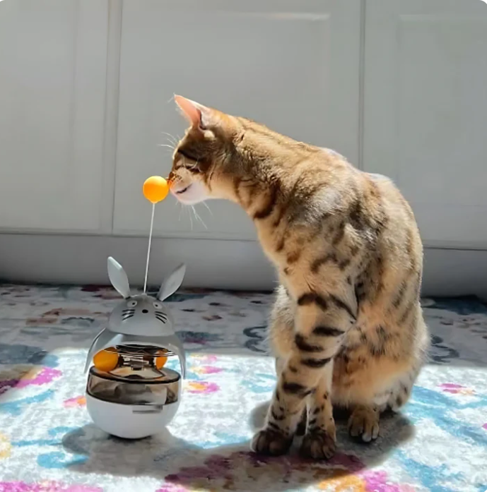 Intelligentes Katzenspielzeug Mit Leckerli-Spender