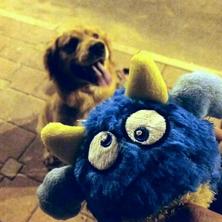 Interaktiver Plüsch-monsterball – Lustiges Spielzeug Für Hunde