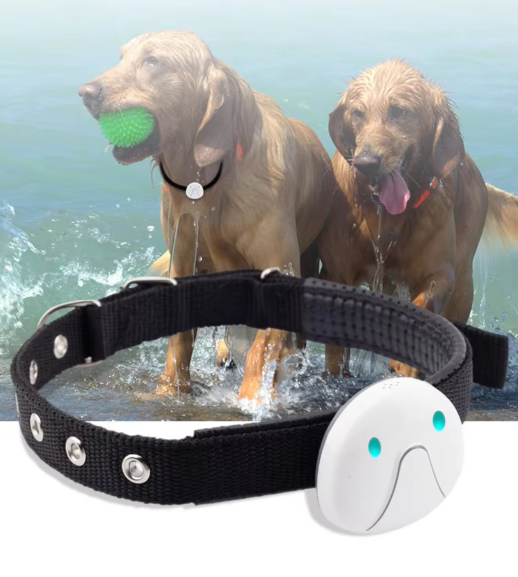 Hundehalsband mit GPS-Tracker – Einfach zu Befestigen und Zuverlässig