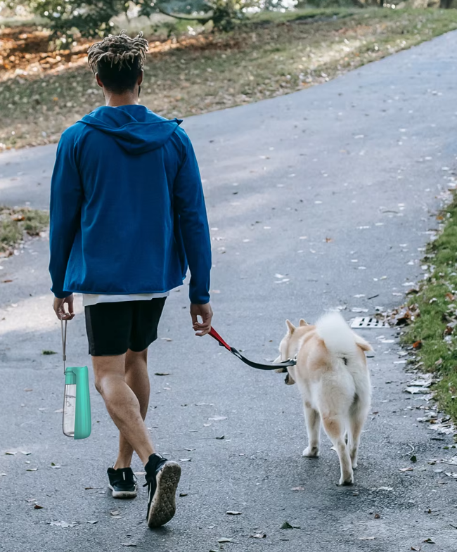 Tragbare Hundewasserflasche – Auslaufsicherer Reise-Spender Mit Integriertem Trinknapf