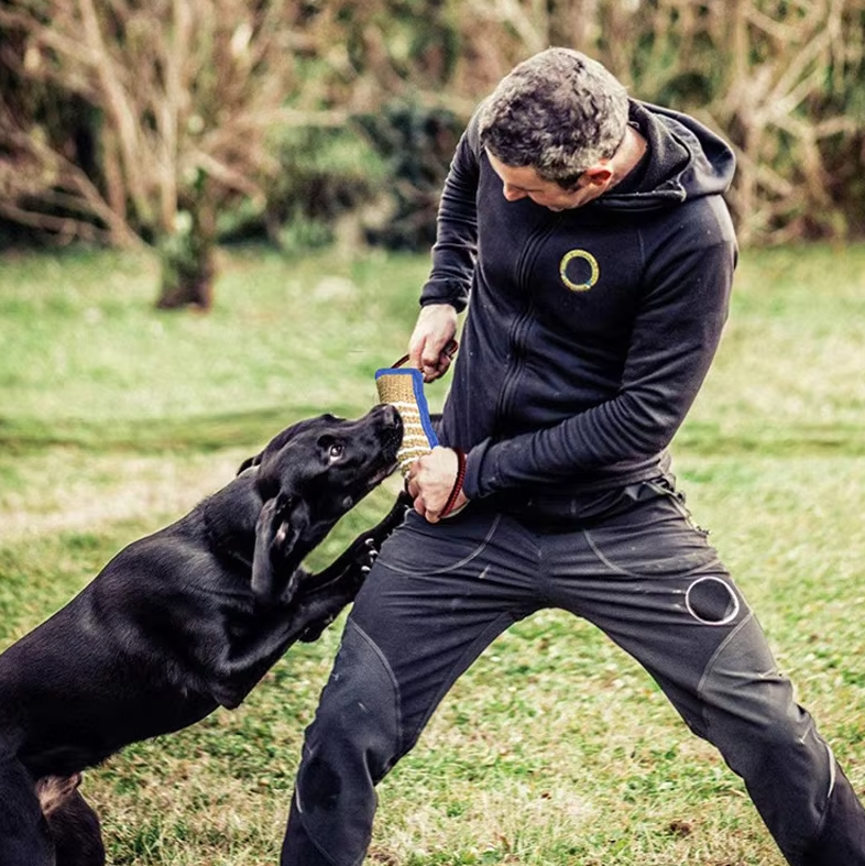 Beißwurst Für Hunde – Robustes Jute-Trainingsspielzeug Mit Griffen Für Welpen  Erwachsene Hunde