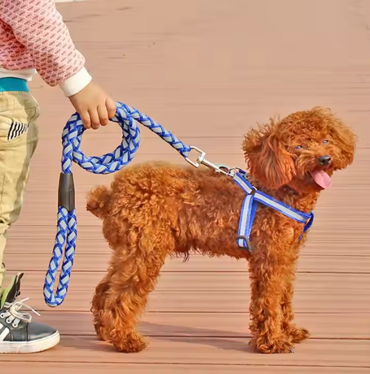 Reflektierendes Hundegeschirr mit Leine – Sicheres Set für Spaziergänge Bei Dunkelheit