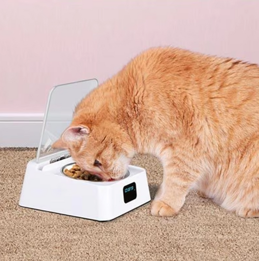 Automatischer Futterspender Für Katzen Mit Digitalanzeige Und Deckel