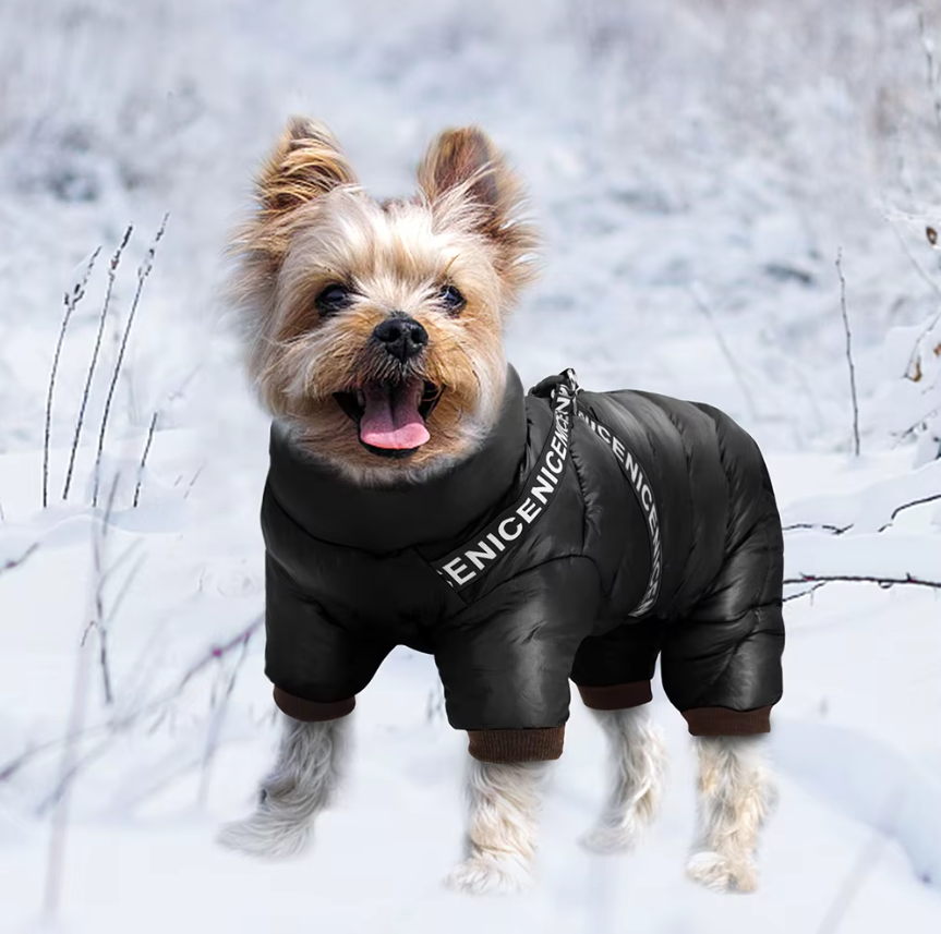 Atmungsaktiver Hundemantel mit Kälteschutz