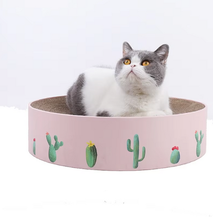 Katzenschleife Aus Karton mit Kaktusdesign – Kratzbrett im Modernen Stil