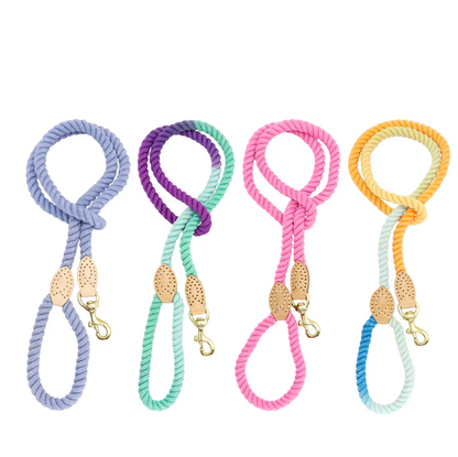 Bunte Hundeleine Aus Baumwollseil – Robuste Leine für Hunde in Spiralform mit Karabinerhaken