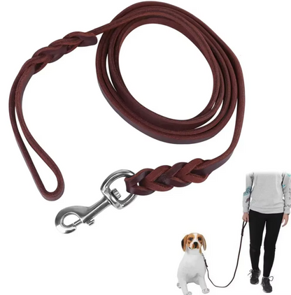 Leder Hundeleine mit Goldener Karabiner – Robustes und Elegantes Hundezubehör