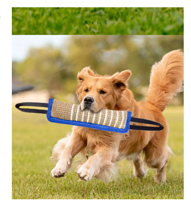 Beißwurst Für Hunde – Robustes Jute-Trainingsspielzeug Mit Griffen Für Welpen  Erwachsene Hunde