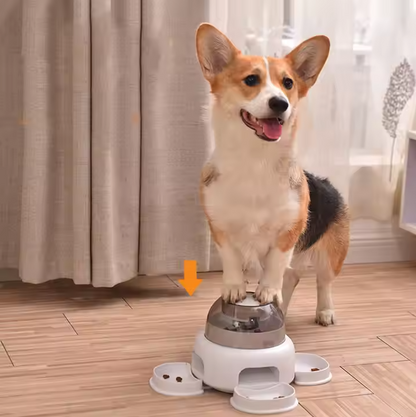 Hundefutter Spender mit Transparenter Kammer – Einfaches Nachfüllen und Sichtbares Futter