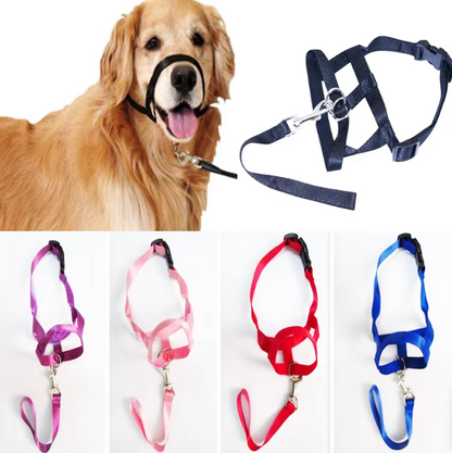 Verstellbares Hundegeschirr mit Leine – Komfortables Halfter für Kleine und Mittlere Hunde