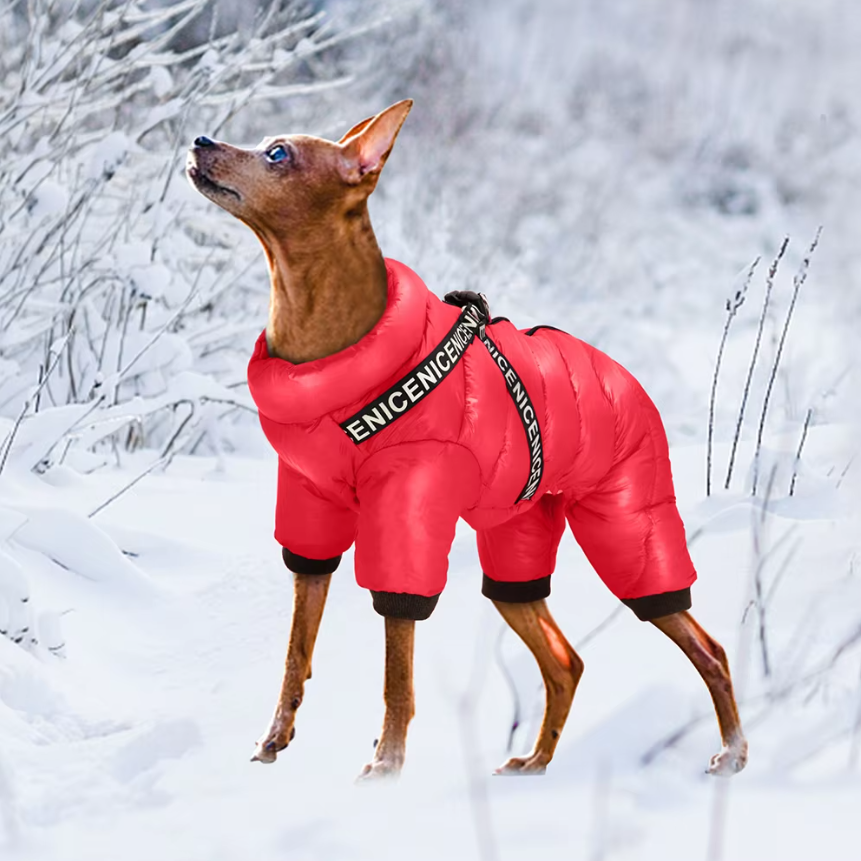 Atmungsaktiver Hundemantel mit Kälteschutz