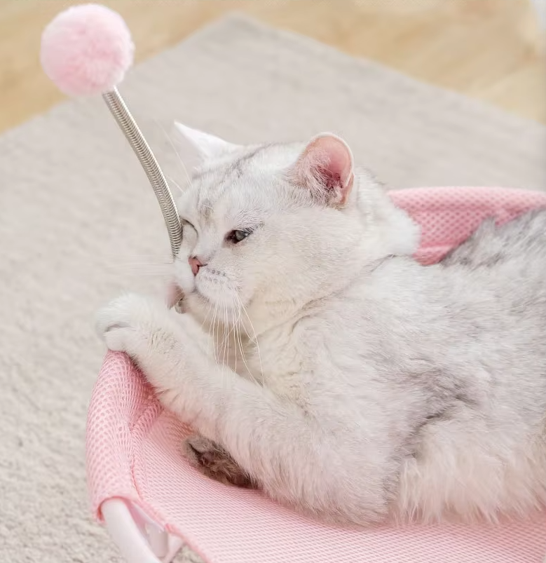 Katzen Hängematte Rund – Bequemer Katzenliegeplatz Mit Spielbällen  Stabilem Gestell