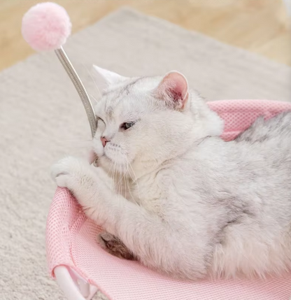 Katzen Hängematte Rund – Bequemer Katzenliegeplatz Mit Spielbällen  Stabilem Gestell