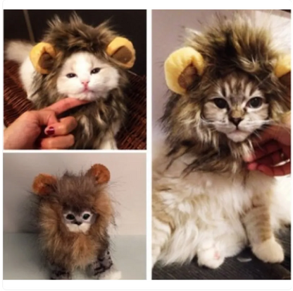 Löwenmähne für Katzen mit Ohren für Verkleidung und Lustige Fotos