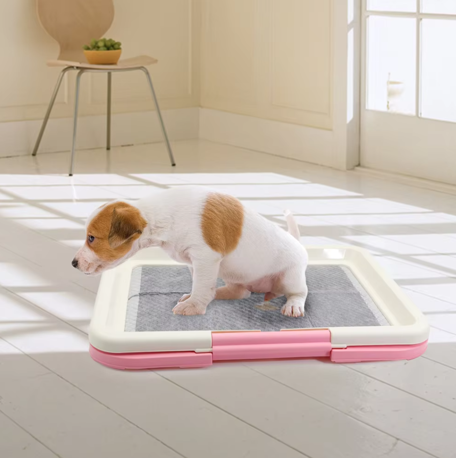Hunde Wc Indoor – Sauberes Hundeklo Mit Rutschfester Matte Für Welpen  Kleine Hunde