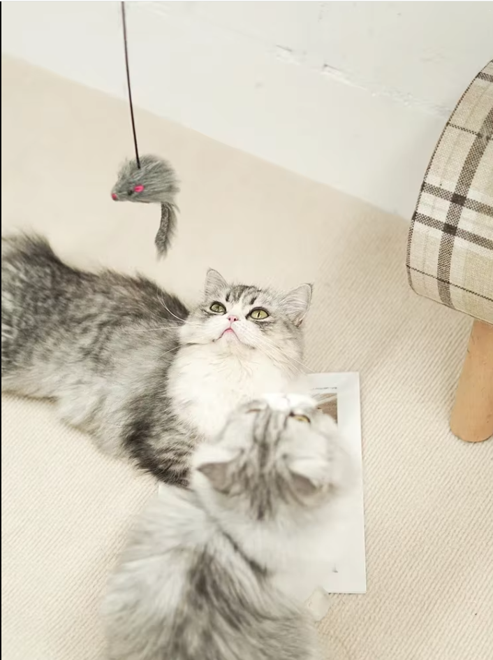 Interaktives Tür-spielzeug – Springende Maus Für Aktive Katzen