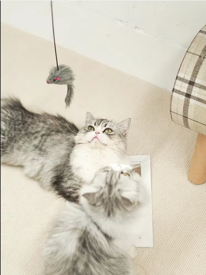Interaktives Tür-spielzeug – Springende Maus Für Aktive Katzen