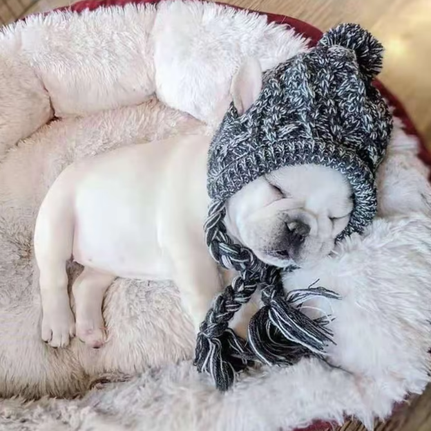 Stylische Hundemütze mit Bommel – Warme Wintermütze für Kleine Hunde