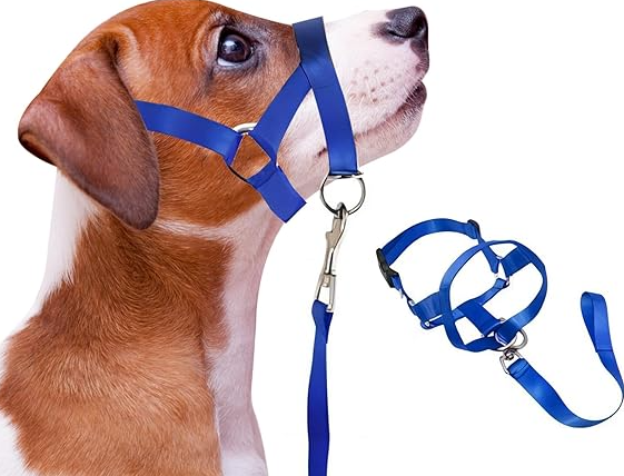 Verstellbares Hundegeschirr mit Leine – Komfortables Halfter für Kleine und Mittlere Hunde