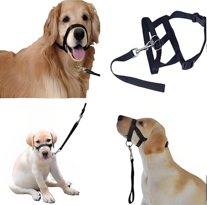 Verstellbares Hundegeschirr mit Leine – Komfortables Halfter für Kleine und Mittlere Hunde