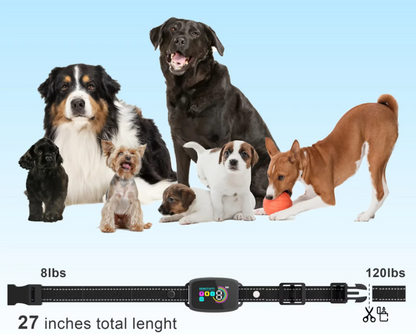 Hundetraining Halsband mit Fernbedienung – 8 Stufen Empfindlichkeit Vibration  Schockmodus