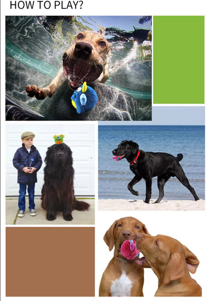 Interaktiver Plüsch-monsterball – Lustiges Spielzeug Für Hunde