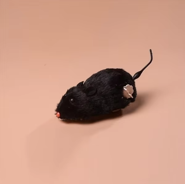 Elektrische Katzen-Spielmaus – Interaktive Rennmaus Für Jagdspaß